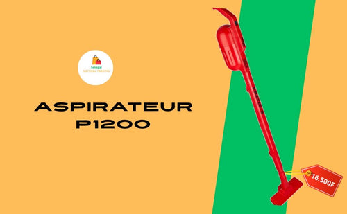 Aspirateur P1200
