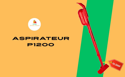 Aspirateur P1200
